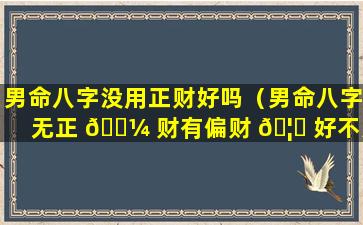 男命八字没用正财好吗（男命八字无正 🌼 财有偏财 🦈 好不好,命运怎么样）